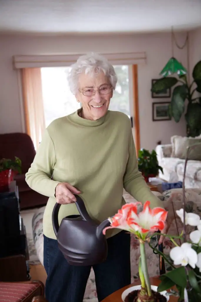 Assisted Living For Seniors With No Money